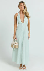 Jeienn Midi Dress - Line Placket Front Skirt Dress in Mint Stripe